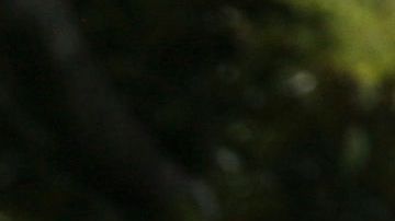 Photo: Jason Redmond