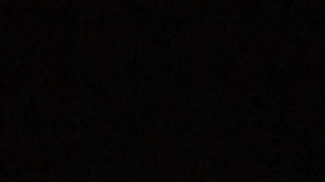 Photo by Danny Bollinger/WireImage