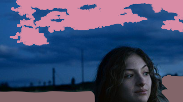 Film Programmers End of Year Film list