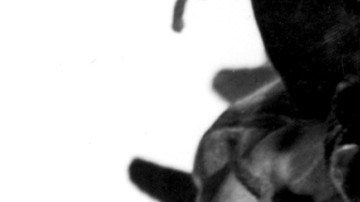 Photo: Bruno of Hollywood via Getty Images