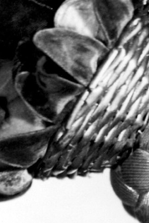 Photo: Bruno of Hollywood via Getty Images