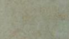 Chris Perez and Selena Quintanilla