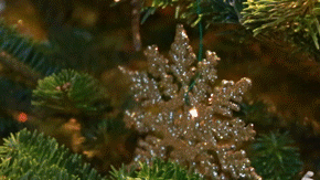 Photo: Itzel Alejandra Martinez for Remezcla