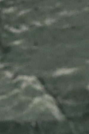 President of Mexico Enrique Peña Nieto addresses the United Nations General Assembly on September 25, 2018 in New York City.  Photo by John Moore/Getty Images