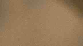 Photo by Johner Images