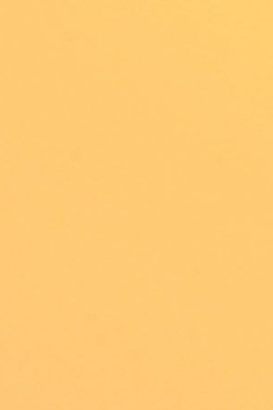 Photo: David McNew for Getty Images