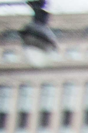 Protesters at the 2017 Women's March in Washington DC. Photo by Itzel Alejandra for Remezcla