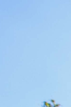 Photo by Hanna Quevedo for Remezcla