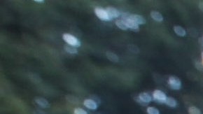 Photo by Hanna Quevedo. Courtesy of Bahidora