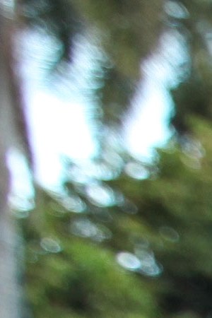 Princess Nokia. Photo by Hanna Quevedo for Remezcla