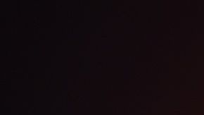 Photo by Mike Coppola/Getty Images for The Natural Resources Defense Council.