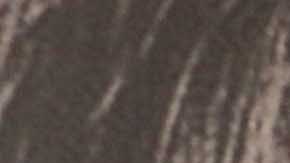 maria sabina 2 culture