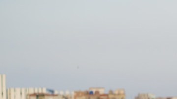 Courtesy of Miami Film Festival