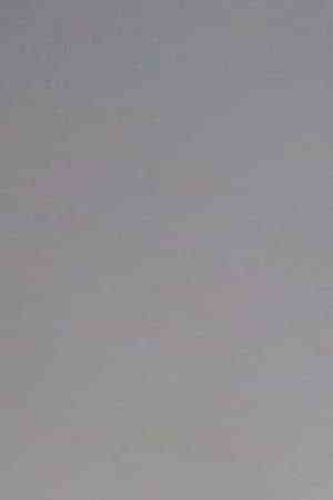 Fans at Estéreo Picnic, Photo by Luis Gallo for Remezcla