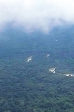 'A River Below' Courtesy of the Tribeca Film Festival