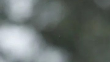 Photo by USA Today Sports