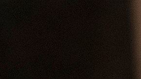 'Beatriz at Dinner' Photo by: Lacey Terrell. Courtesy of Roadside Attractions.