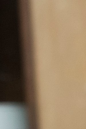 'Beatriz at Dinner' Photo by: Lacey Terrell. Courtesy of Roadside Attractions.