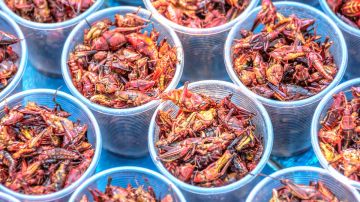 Chapulines