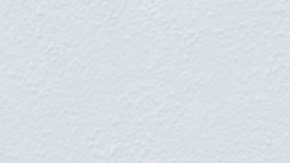 Courtesy of Danielle Camastra