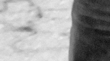 Aestusx / Collection: iStock Editorial/Getty Images Plus