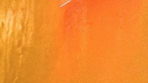 Photo by Lisette Poole