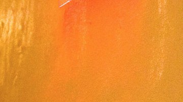 Photo by Lisette Poole