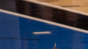 Creative Commons "Manu Ginóbili” by Mike is licensed under CC BY 4.0