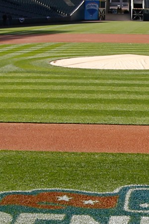 Major League Baseball Opening Day