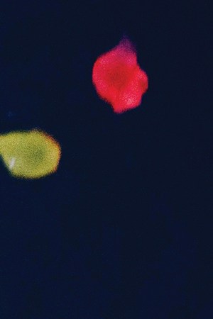 'Saturday Church'. Courtesy of Spring Pictures.