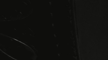 Image courtesy of the Tribeca Film Festival