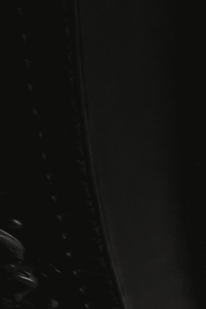 Image courtesy of the Tribeca Film Festival