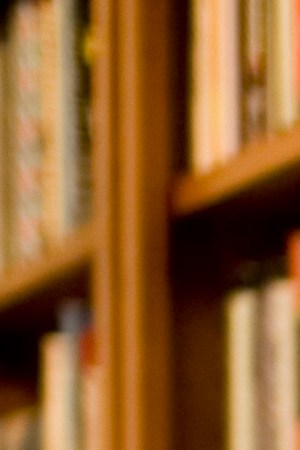 Creative Commons "A bookshelf” by Stewart Butterfield is licensed under CC BY 4.0