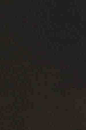 Photo Dmytro Aksonov / Getty Images