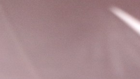 Buscabulla. Photo by Alan Lopez for Remezcla