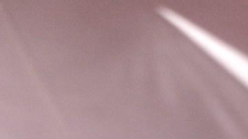 Buscabulla. Photo by Alan Lopez for Remezcla