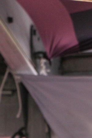 Photo by Alan Lopez for Remezcla