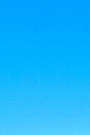 Photo by iStock / Getty Images Plus