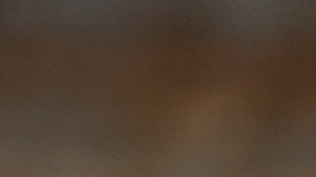 Photo by Sbossert / iStock / Getty Images Plus