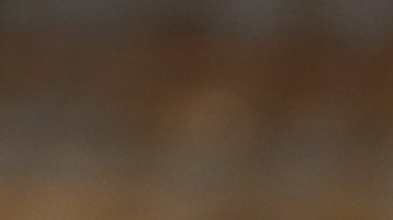 Photo by Sbossert / iStock / Getty Images Plus