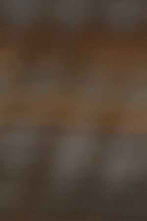 Photo by Sbossert / iStock / Getty Images Plus