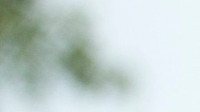 Eugenio Derbe How to Be a Latin Lover