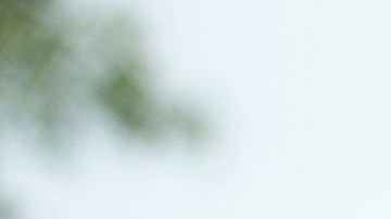 Eugenio Derbe How to Be a Latin Lover