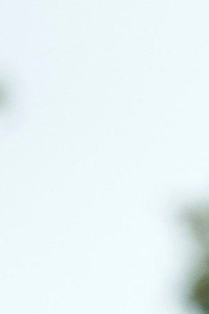 Eugenio Derbe How to Be a Latin Lover