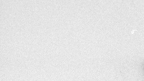 Photo by Julian Wasser//Time Life Pictures/Getty Images