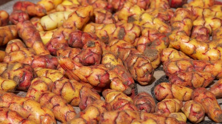 Creative Commons "Peru - Cusco 107 - Peruvian papas” by McKay Savage is licensed under CC BY 2.0