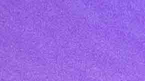 Amanda Solis from Texas City in her Selena themed room. Photo by Jessica Alvarenga for Remezcla