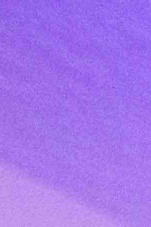 Amanda Solis from Texas City in her Selena themed room. Photo by Jessica Alvarenga for Remezcla