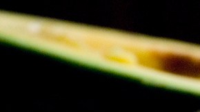 Photo by threelayercake  is licensed under CC BY-ND 2.0