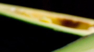 Photo by threelayercake  is licensed under CC BY-ND 2.0